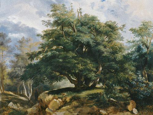 Jules Coignet Old Oak in the Forest of Fontainebleau